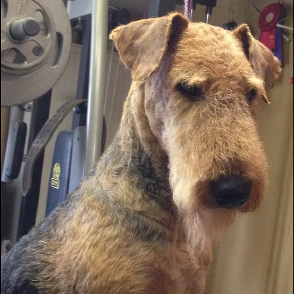 Meet your Posher, Shelley primeau - Picture 16 of 17